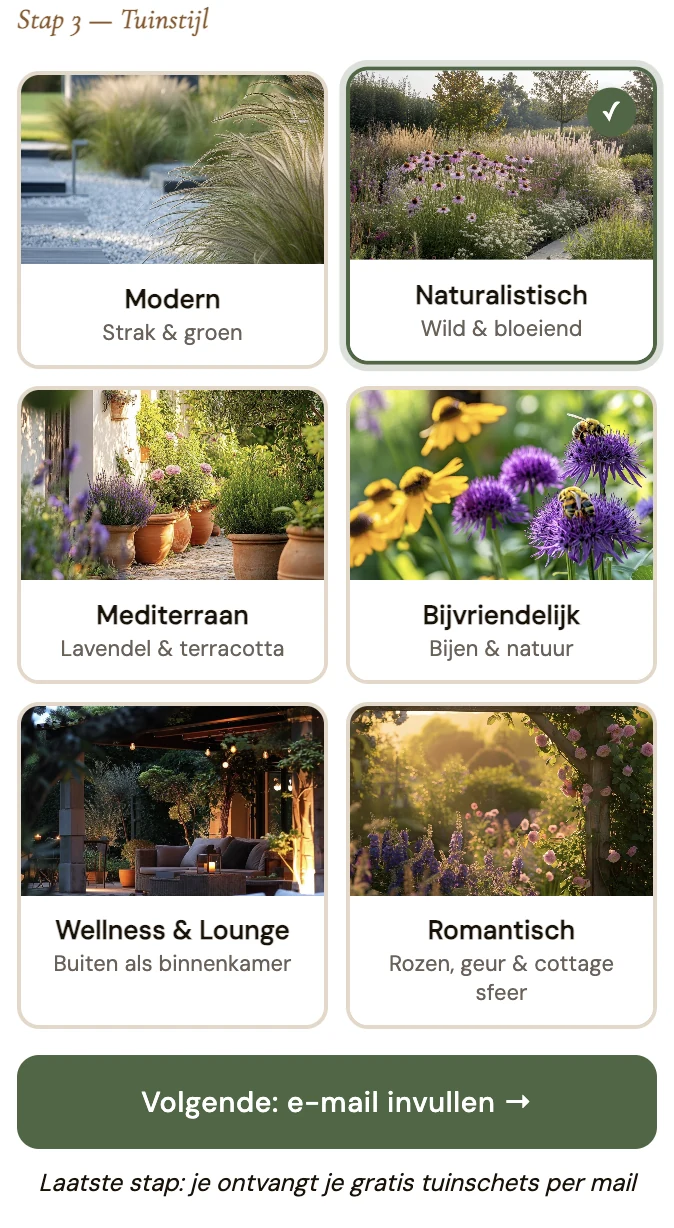 Tuinintake stap 4 — 8 stijlfoto's in grid: modern, naturalistisch, mediterraan, bijvriendelijk, wellness, romantisch